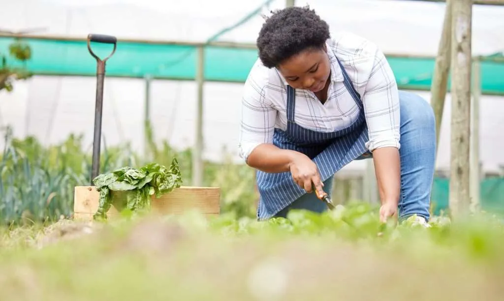 Safeguard your hobby farm in Colorado with our specialized insurance. Access 50+ carriers for tailored coverage & rates. Call us today!